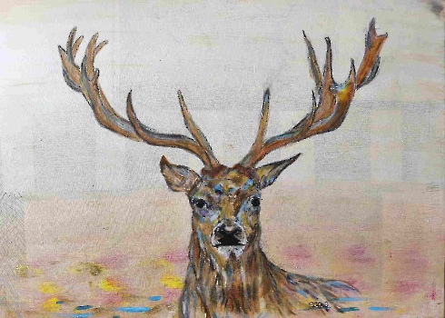 PLATZHIRSCH