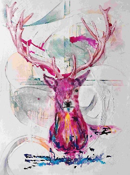 HIRSCH ART